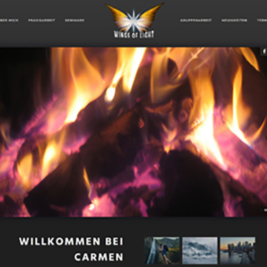 Screenshot of the demo website